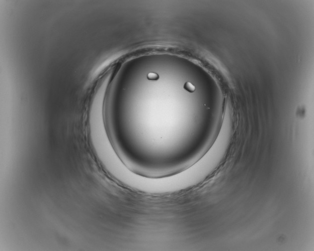 X0000090451352200707272207