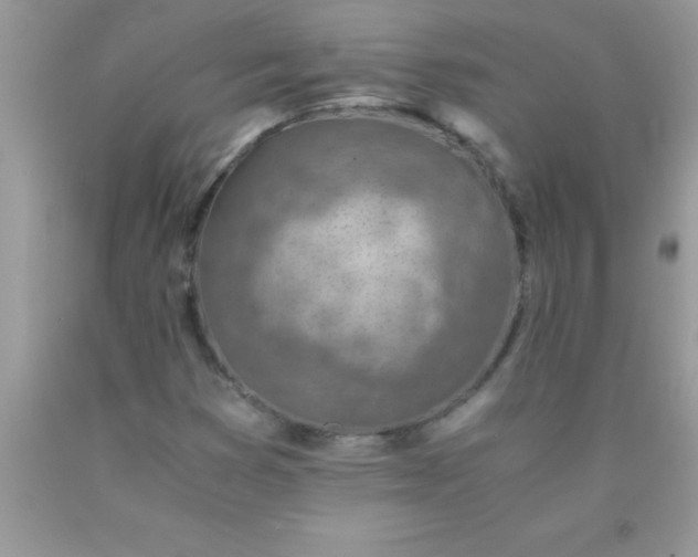 X0000090451353200707272207