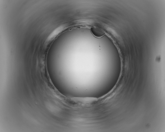 X0000090451354200707272207