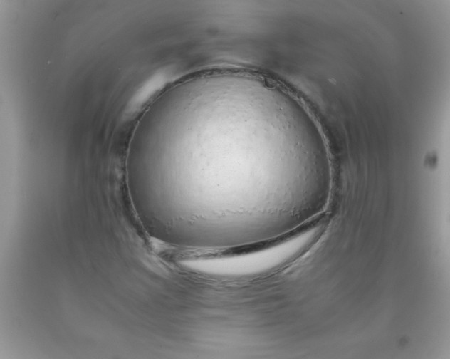 X0000090451355200707272207