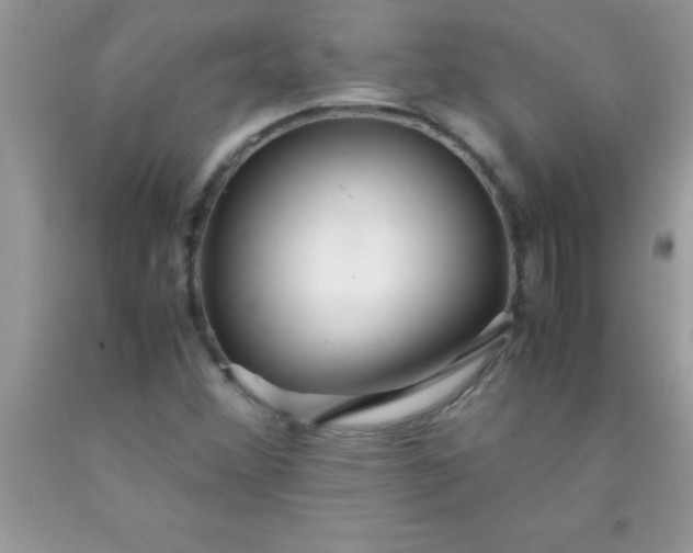 X0000090451356200707272207