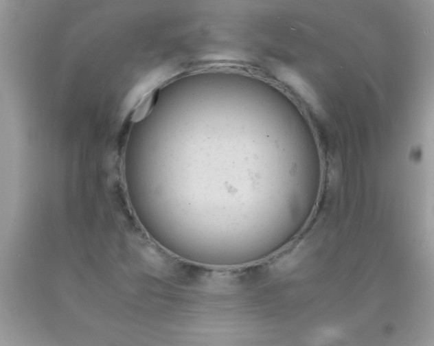 X0000090451357200707272207