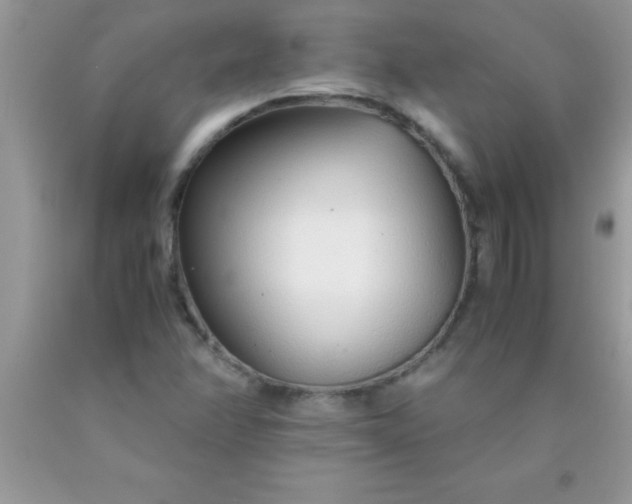 X0000090451358200707272207