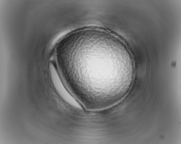 X0000090451359200707272207