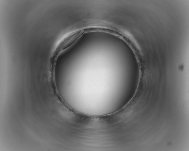 X0000090451360200707272207