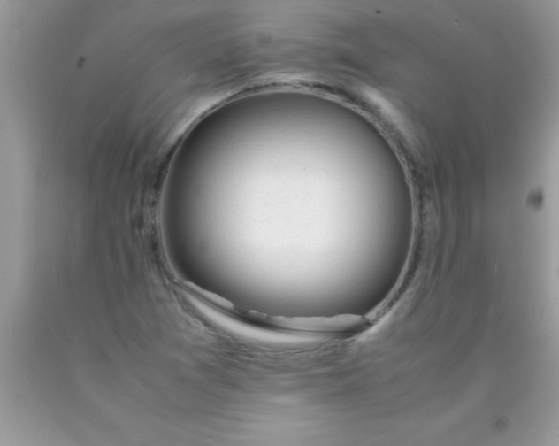 X0000090451361200707272207