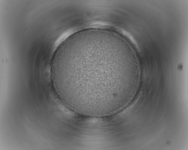 X0000090451362200707272207