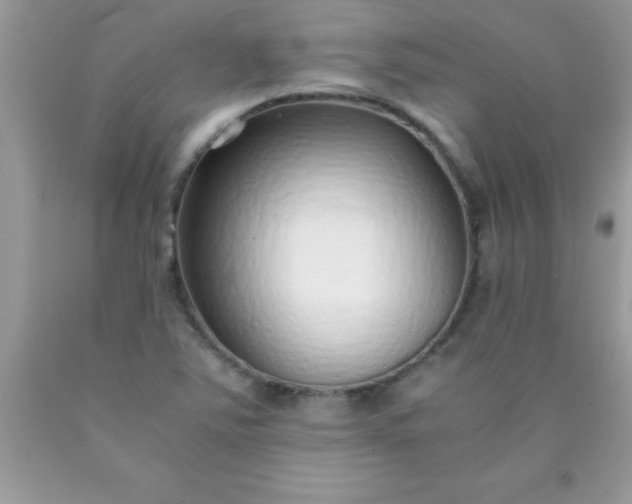 X0000090451363200707272207