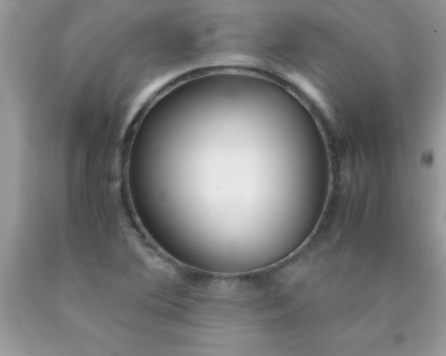 X0000090451364200707272207