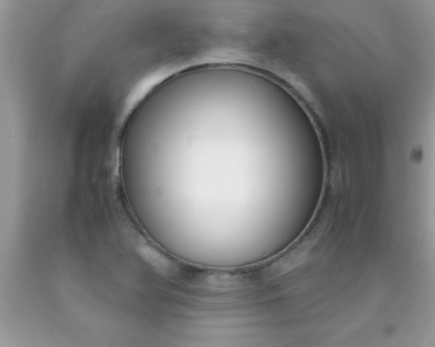 X0000090451366200707272207