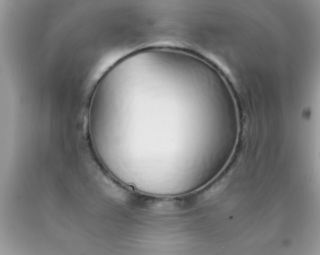 X0000090451367200707272207