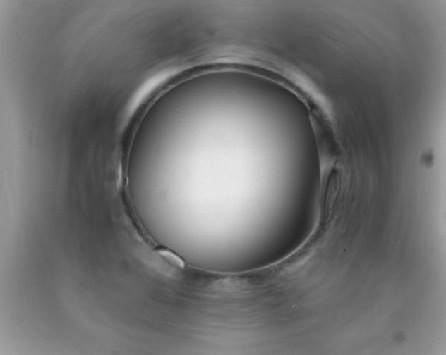 X0000090451368200707272207