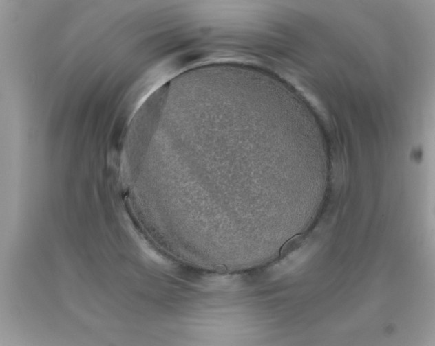 X0000090451369200707272207