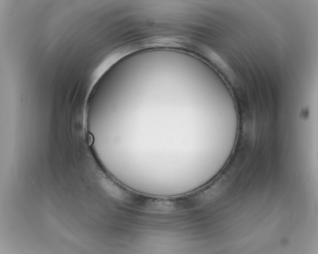 X0000090451370200707272207