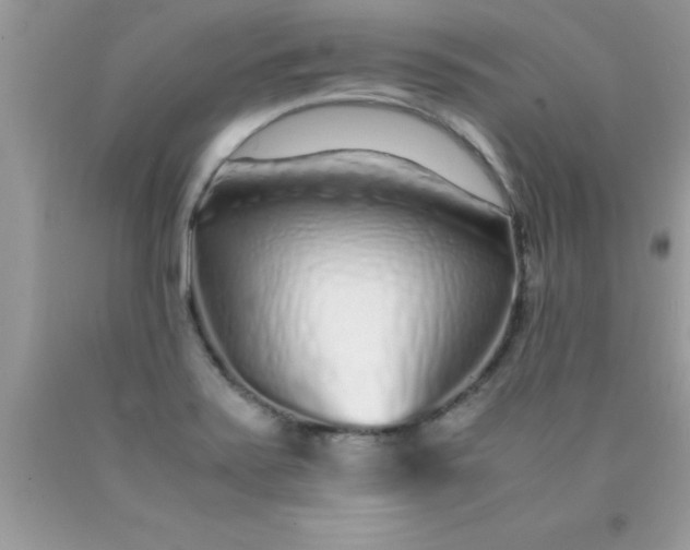 X0000090451371200707272207