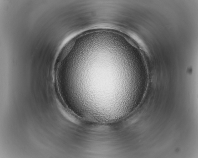 X0000090451372200707272207