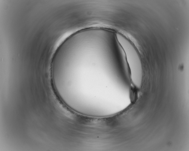 X0000090451375200707272207