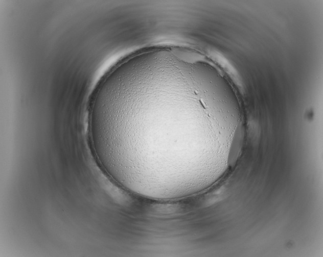 X0000090451376200707272207