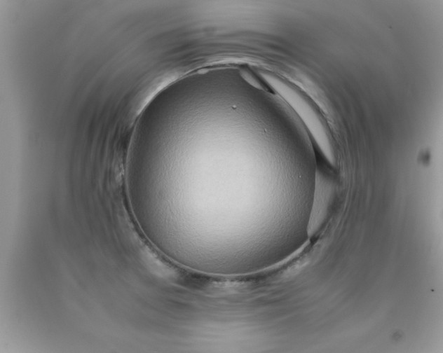 X0000090451377200707272207