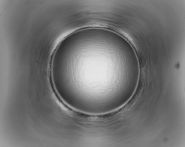 X0000090451379200707272207