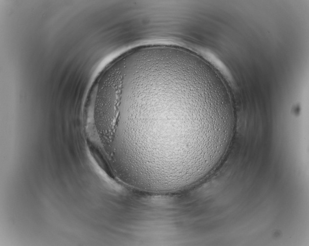 X0000090451380200707272207