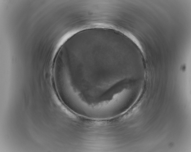 X0000090451381200707272207