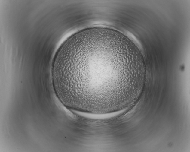 X0000090451384200707272206