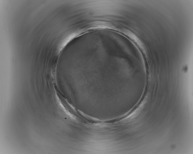 X0000090451385200707272206