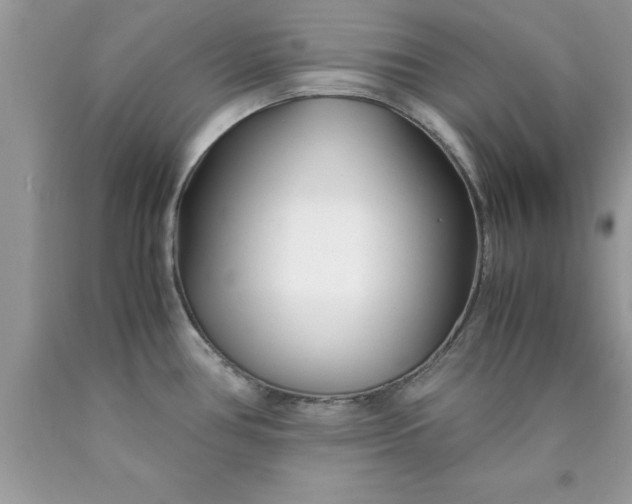 X0000090451386200707272206