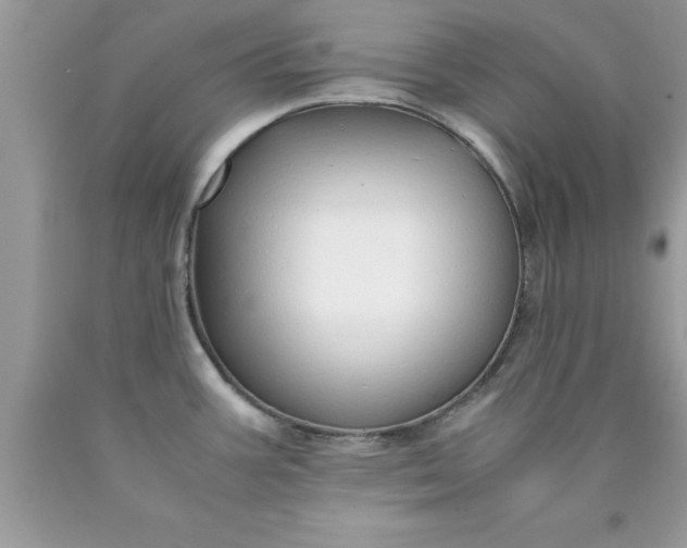 X0000090451387200707272206