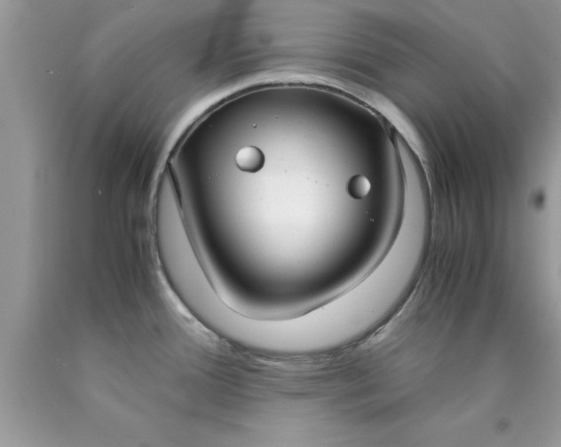 X0000090451388200707272206