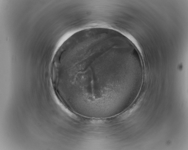 X0000090451389200707272206