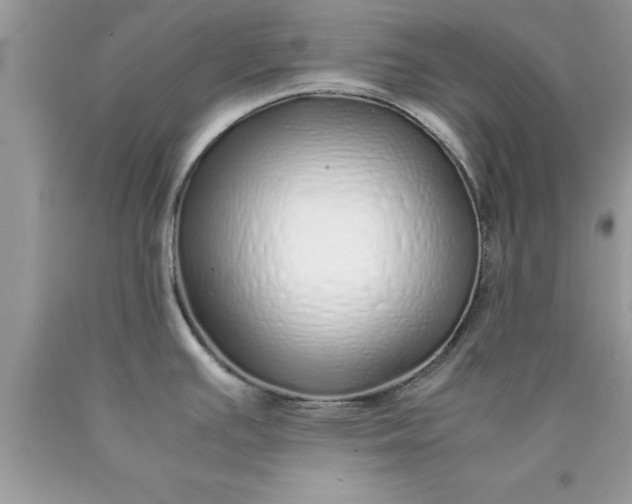 X0000090451391200707272206