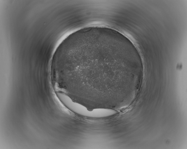 X0000090451392200707272206