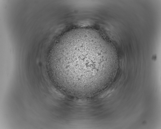 X0000090451393200707272206