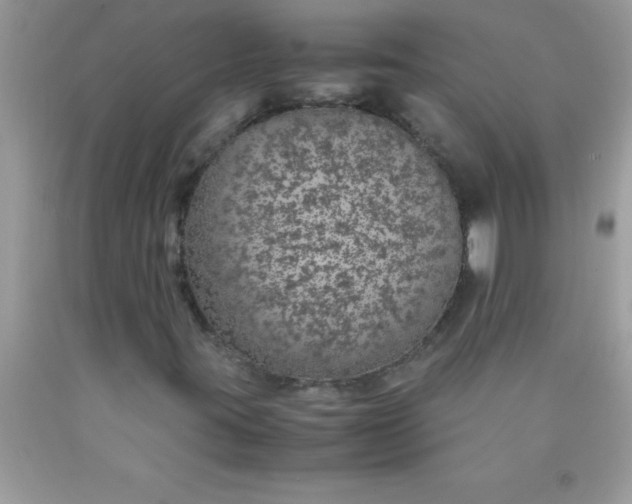 X0000090451395200707272206