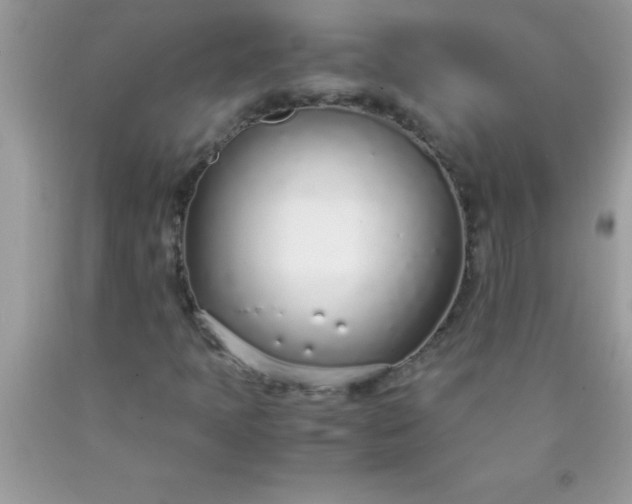 X0000090451397200707272206