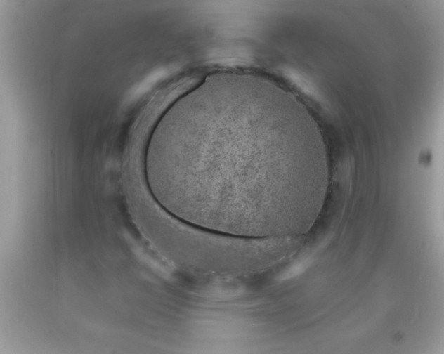 X0000090451398200707272206