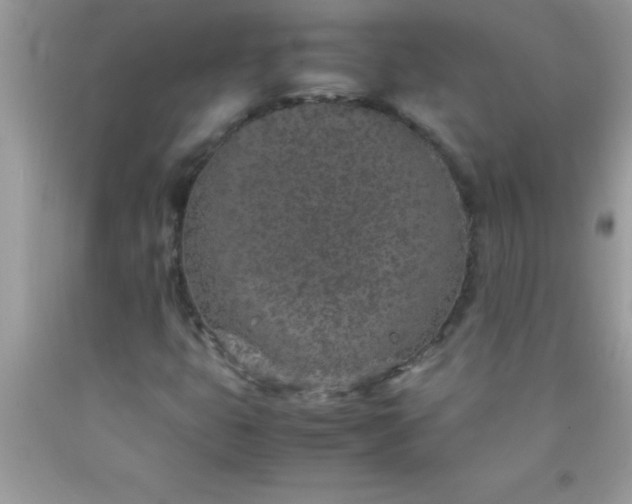 X0000090451399200707272206