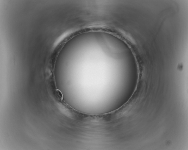 X0000090451400200707272206