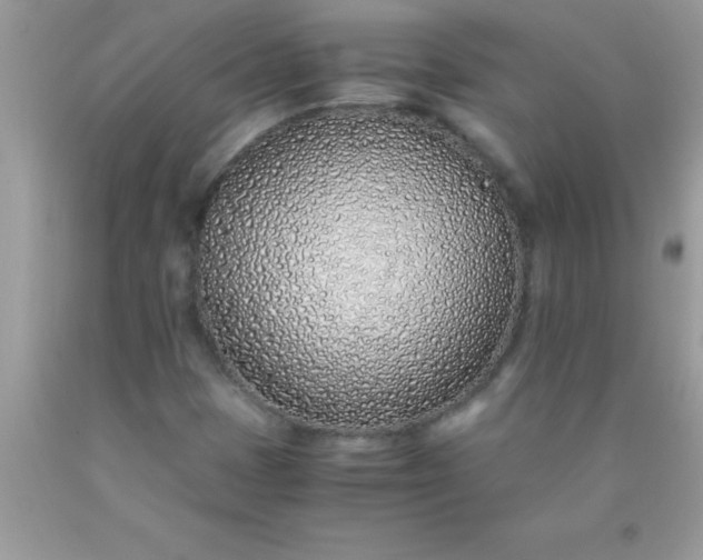 X0000090451401200707272206