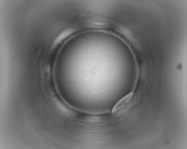 X0000090451402200707272206