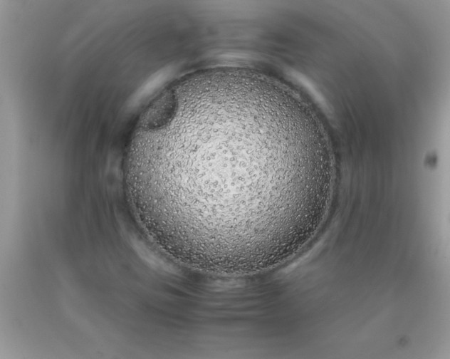 X0000090451403200707272206