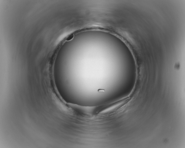 X0000090451404200707272206