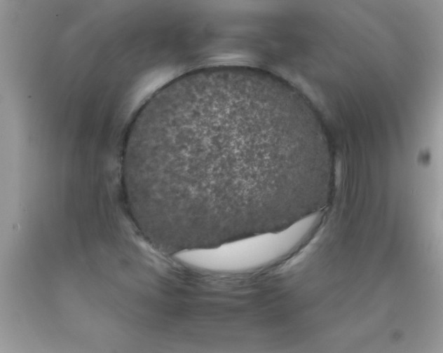 X0000090451405200707272206