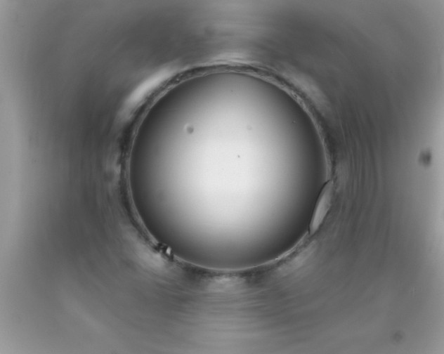 X0000090451406200707272206