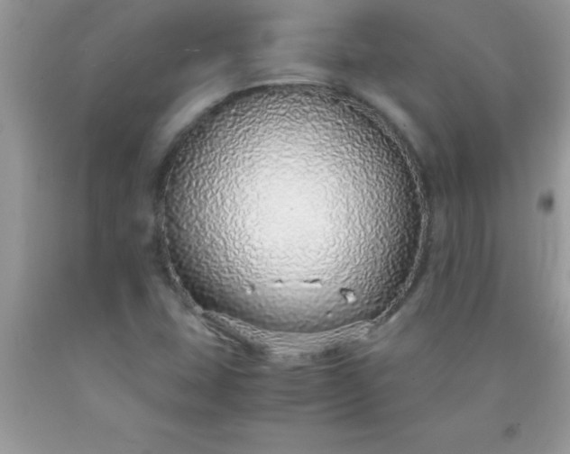 X0000090451407200707272206