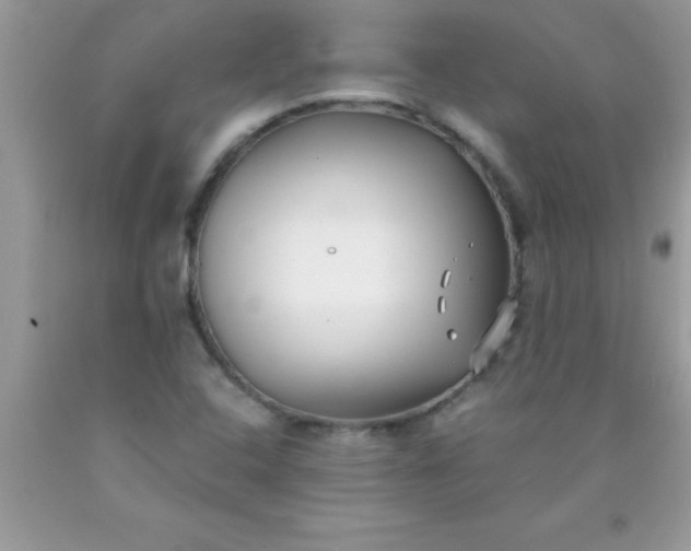 X0000090451408200707272206