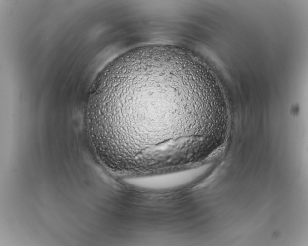 X0000090451409200707272206