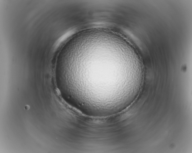 X0000090451411200707272206